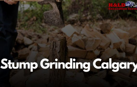 Stump Grinding Calgary