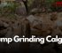 Stump Grinding Calgary