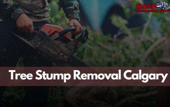 Tree Stump Removal Calgary