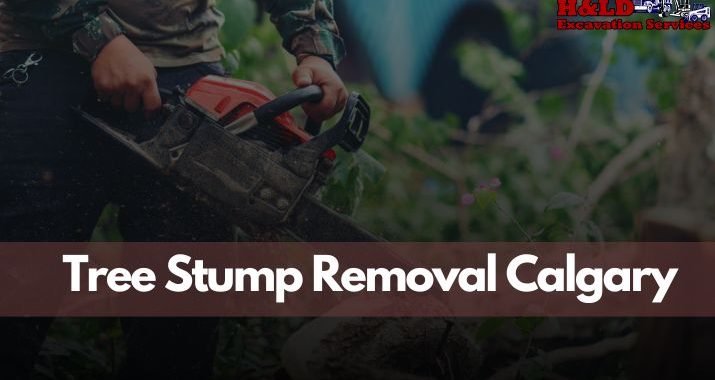 Tree Stump Removal Calgary