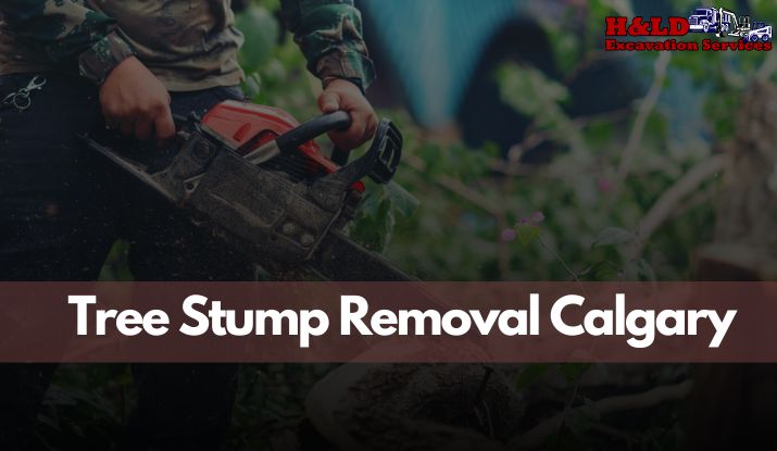 Tree Stump Removal Calgary