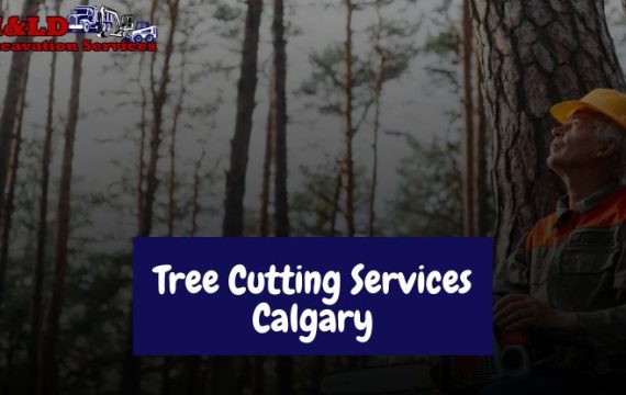 Tree Cutting Services Calgary