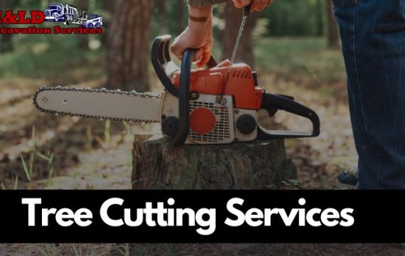 Tree Cutting Services-Calgary