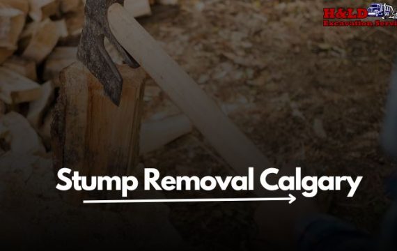 Stump Removal Calgary